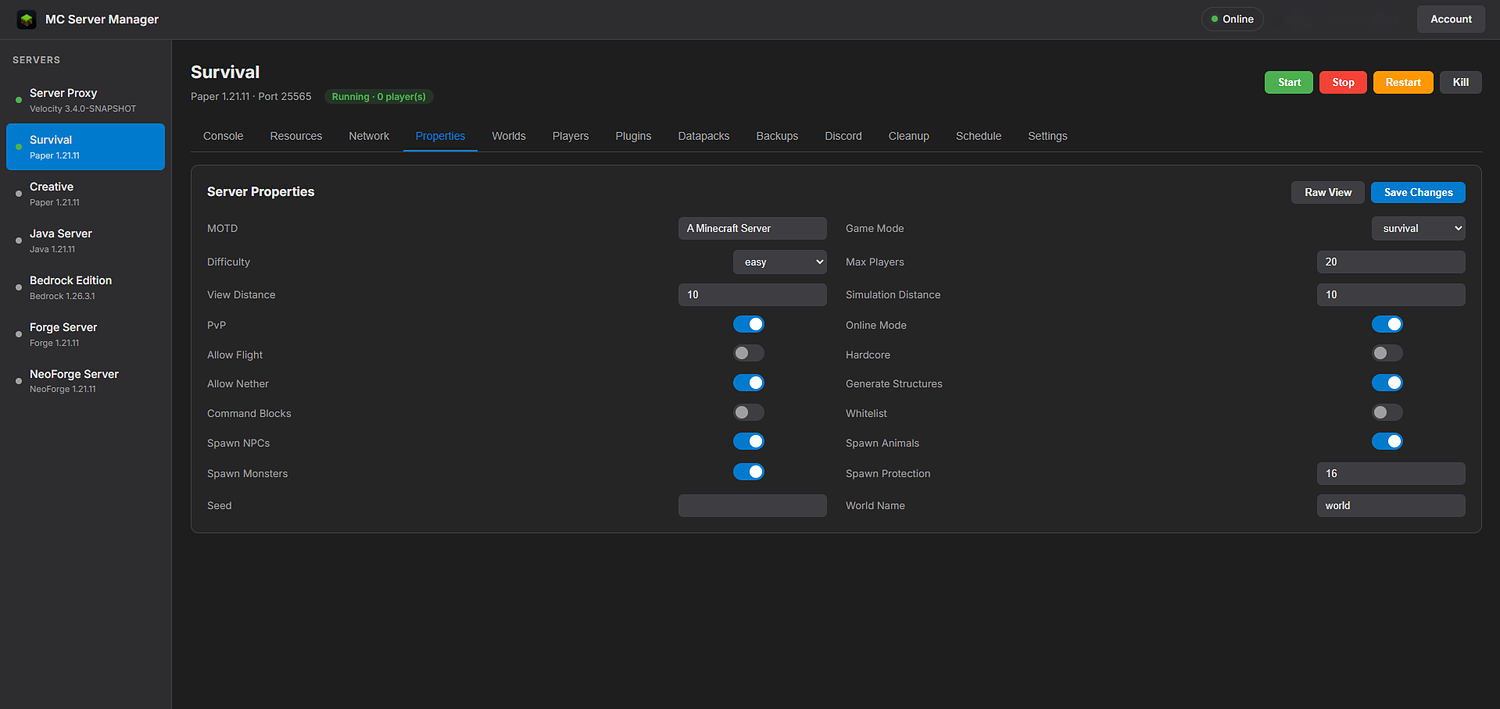 The remote web dashboard open on a server, showing the console and controls