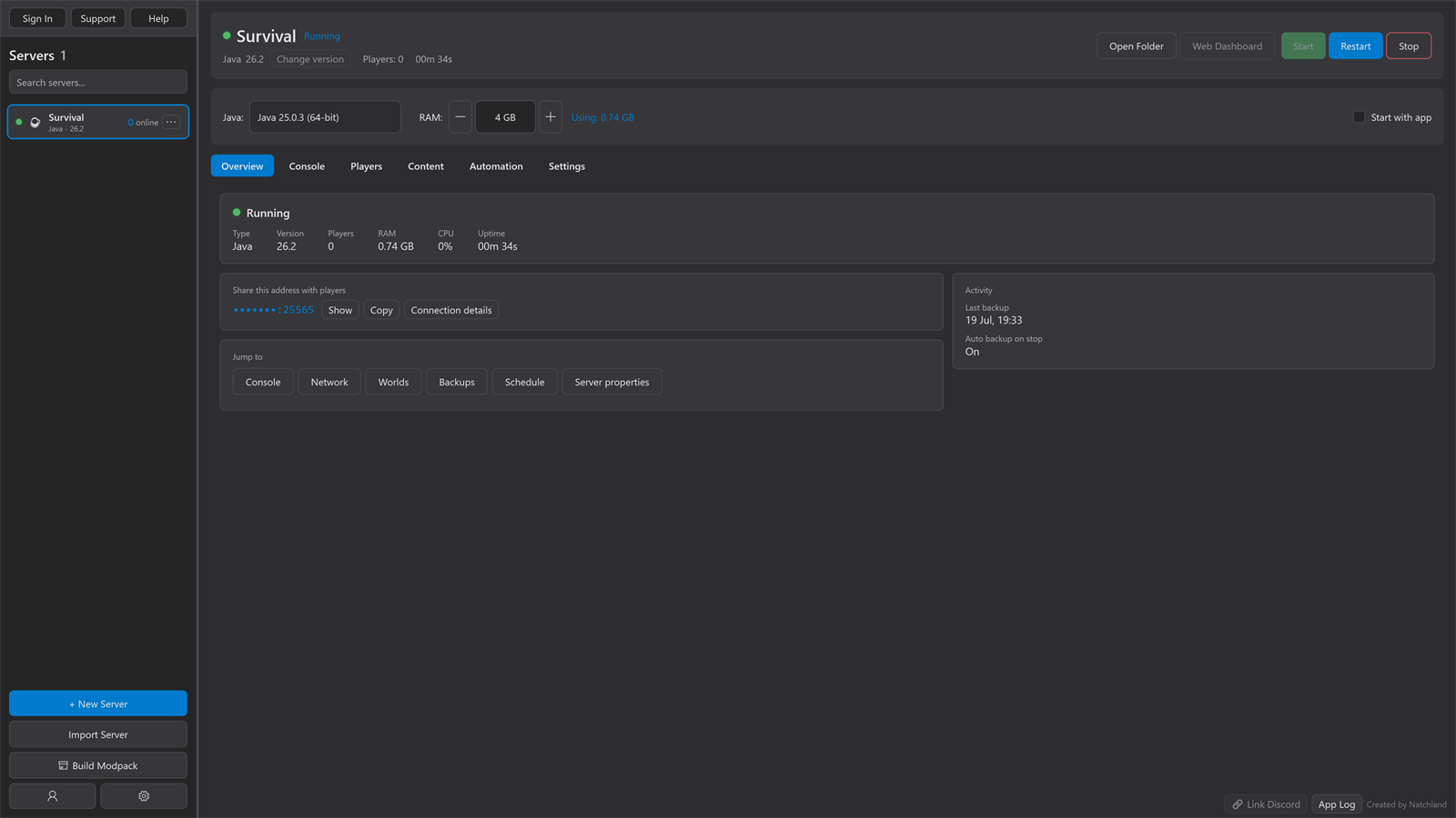 MC Server Manager with a running Java server, its console and its resource use